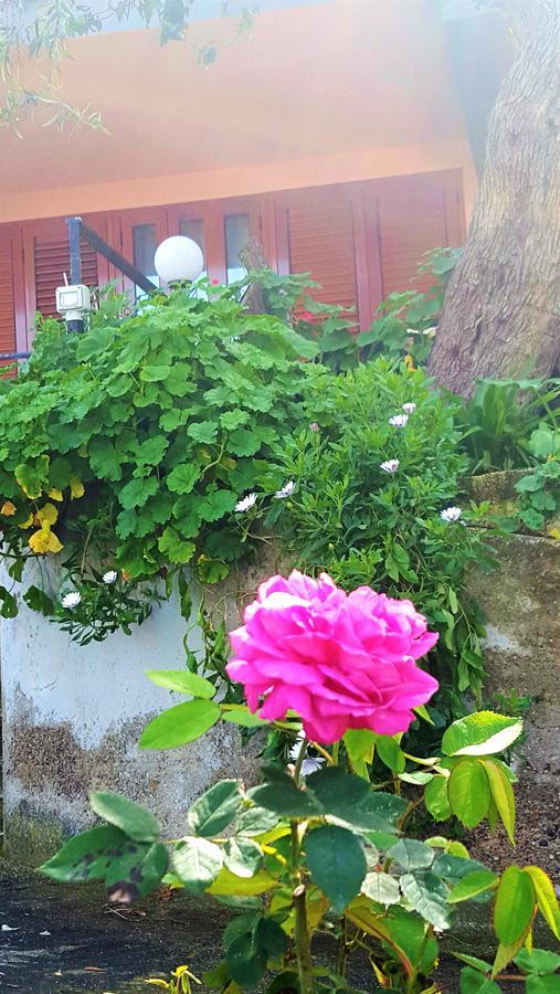 مبيت وإفطار تْشيفالو Delle Rose المظهر الخارجي الصورة